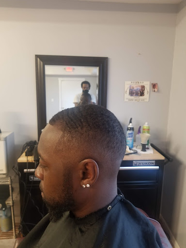 Protege's Cuts - Visual