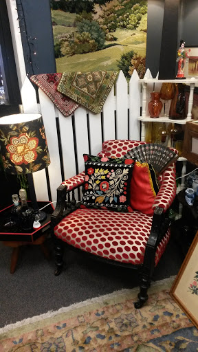 Mr Feather's Den Gallery - New Zealand