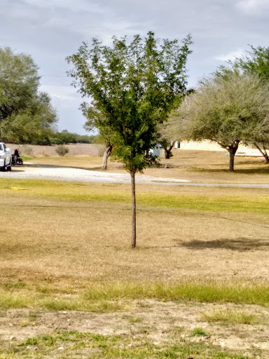 Centro de Investigación en Producción Agropecuaria, UANL / Viñedo UANL - Thumbnail