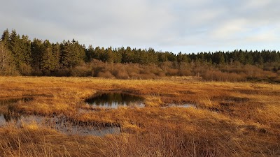 park