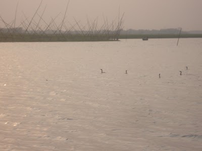 Photos of Char Kathaliya Modhapara Jame Mosjid