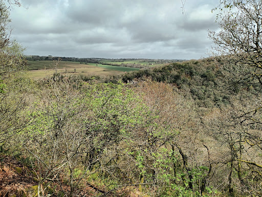 Gorges Stangala - Thumbnail