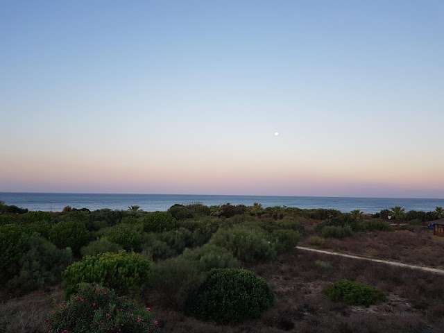 Playa Ballena Rota