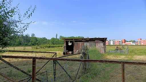 Parc Les Rives du Danube - Thumbnail