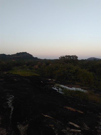 Photos of Wild Grass Nature Resort