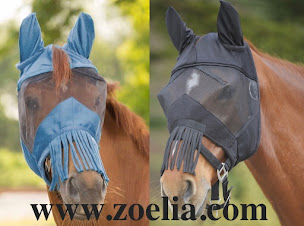 Photo n°1 de ZOELIA à Wasselonne (Magasin d'articles pour animaux)