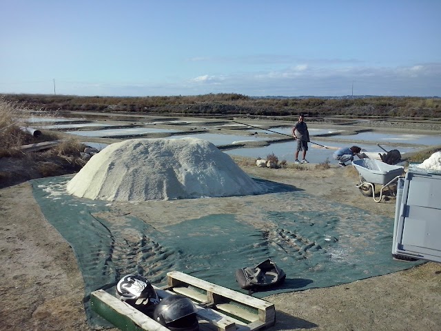 Marais salants de Guérande