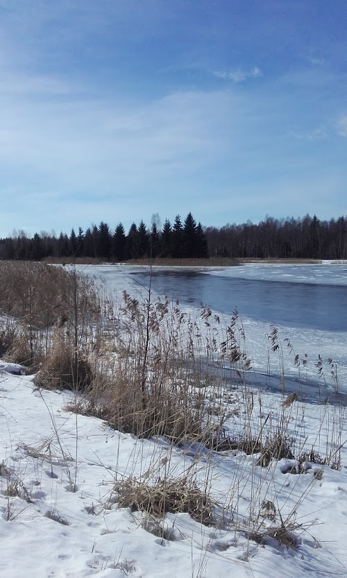 Tarbja Tehisjärv