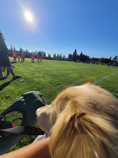 Capital Soccer Fields - Thumbnail