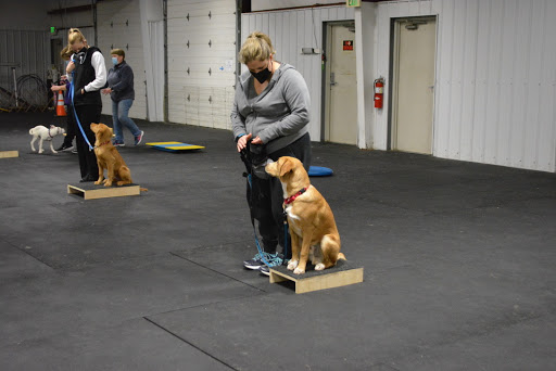 K9 College Dog Training, LLC - Thumbnail