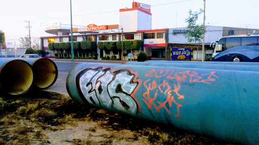 Hotel Las Fresas Logo
