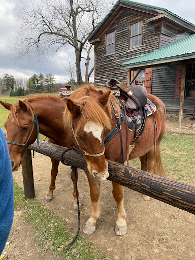 Mountain Rose Farm - Thumbnail