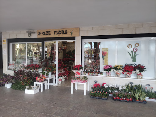 + Que Flors - Visual
