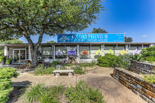 Dr Delphinium Flower & Orchid House