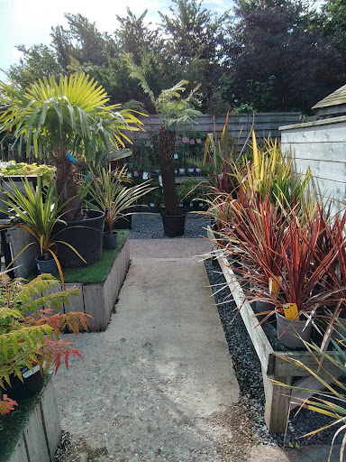 Sunk Island Garden Centre - Thumbnail