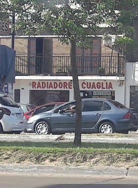 Radiadores CUAGLIA, Author: Roberto fariña