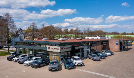 Senger Holstein GmbH - Cupra - Thumbnail