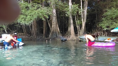 Photos of Choctawhatchee and Holmes Creek Water Management Area