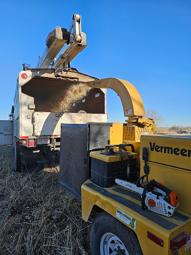Dandyman Tree Service - Visual