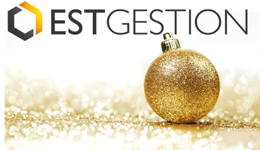 Est Gestion - Thumbnail