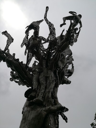 Photos of Arbol De La Vida