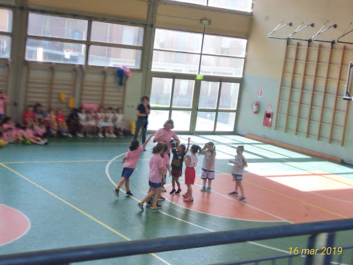 PALESTRA E. TOTI - Visual