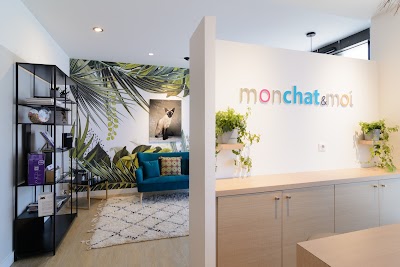 Mon Chat Et Moi Veterinaire A Reze Loire Atlantique Pays De La Loire 33 2 52 59 47 85