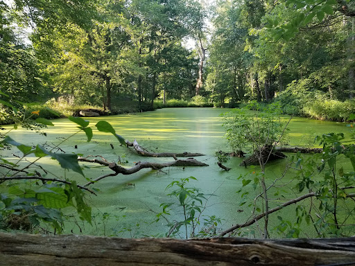 Acton Arboretum - Thumbnail