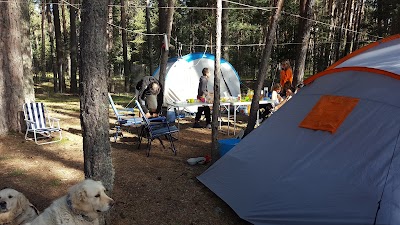 campground