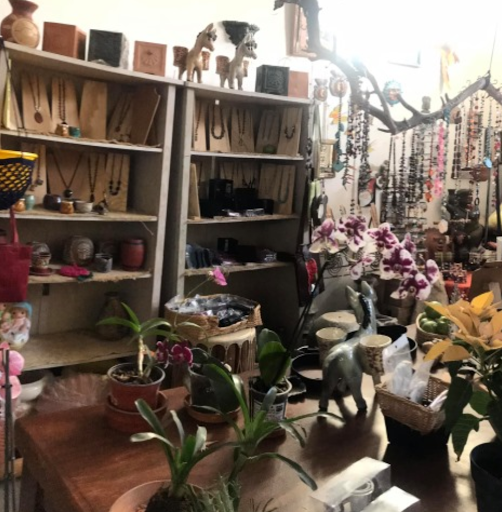 Vivero Wabi Sabi Ajijic