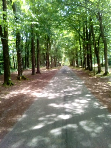 Foret De Kerdisson