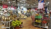 Фотография , Ленинградское шоссе, Москва, Россия