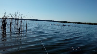 Photos of Belgosstrakh