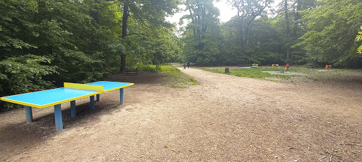Parc de la charmeraie - Thumbnail