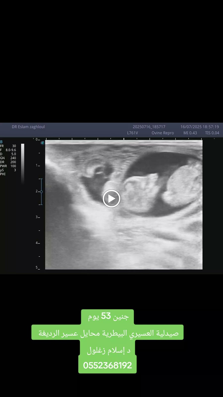 صيدلية العسيري البيطرية في محايل د/إسلام - صورة 2