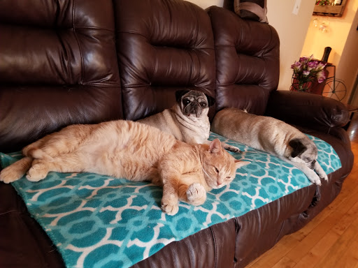 Comfort Corner - Visual
