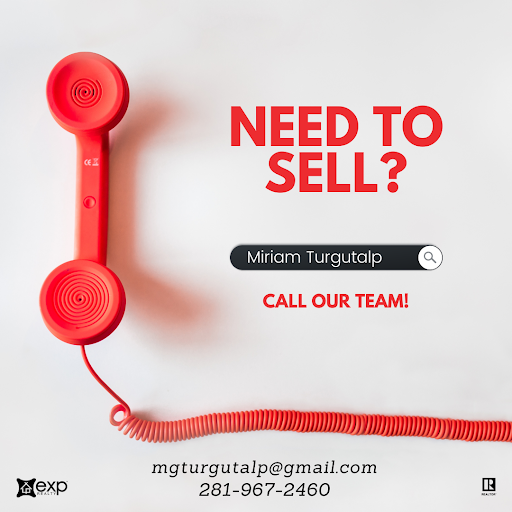 Miriam Turgutalp, Exp Realty, The Woodlands, Realtor - Thumbnail