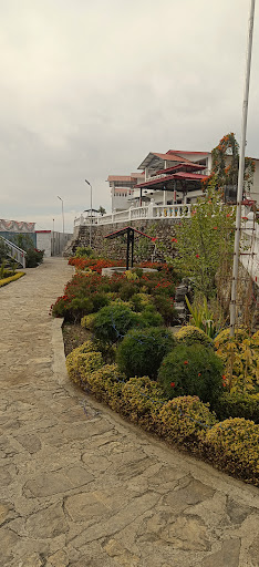 Gallery image 385