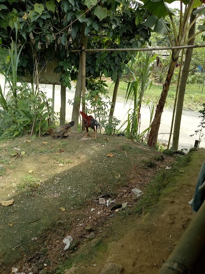 Photos of Kokot Mekargalih