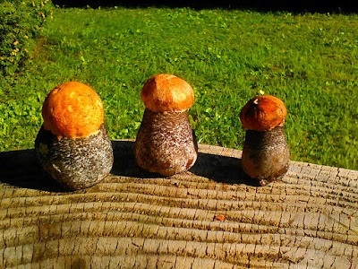 park