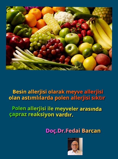 Doç Dr Fedai Barcan Astım Allerji Merkezi