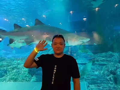 Photos of Hotel Altın