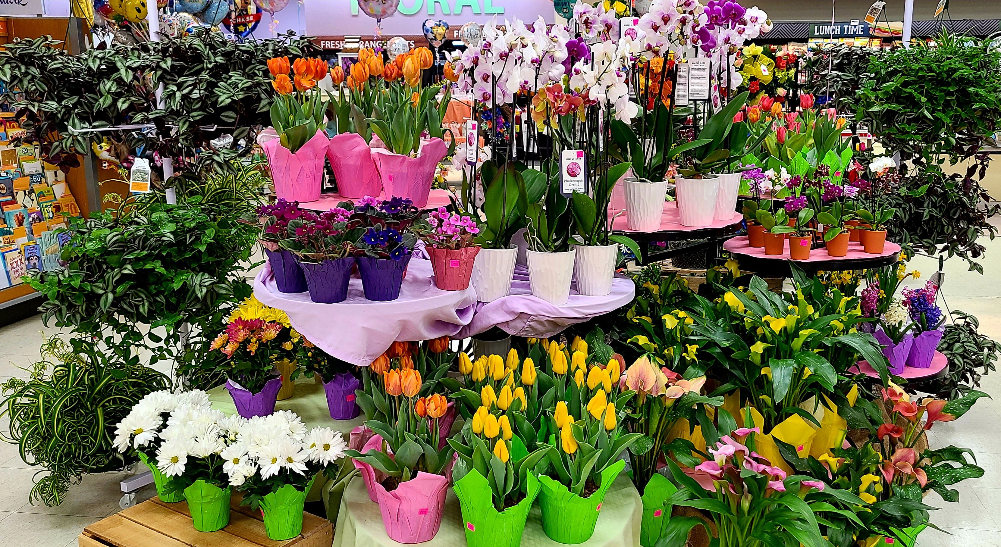 Buehler's Flowers Plus