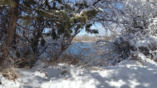 City of Firth Nature Park - Thumbnail
