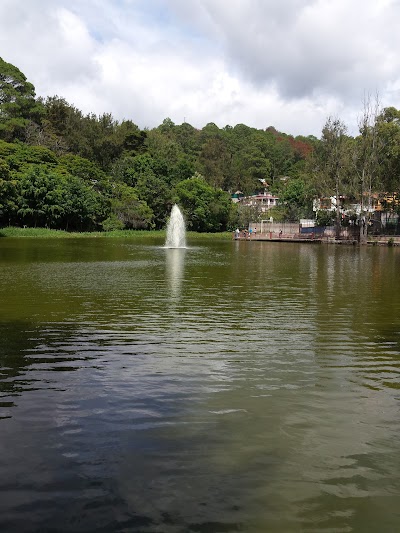 Photos of Tipicos De La Laguna
