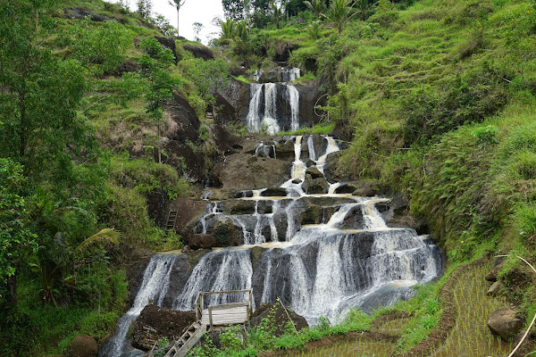 Air Terjun Kedung Kandang - Kolam Renang Dewa di Sawah Bertingkat