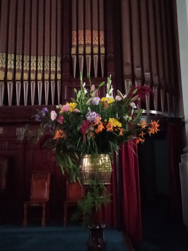 Ayr Brae Flowers - Thumbnail