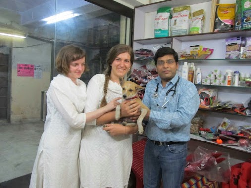 Pets And Vets, Author: Drln Gupta