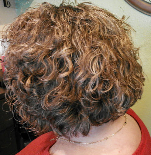 Salon 14 - Visual
