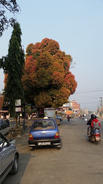 Photos of Nareswar Bus Stop